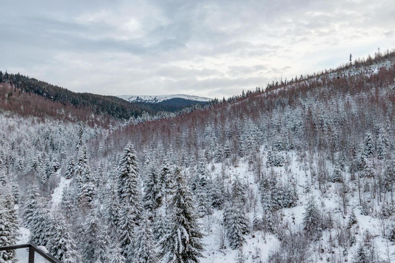 Konopka Forest Home & Spa Bukowel Zewnętrze zdjęcie